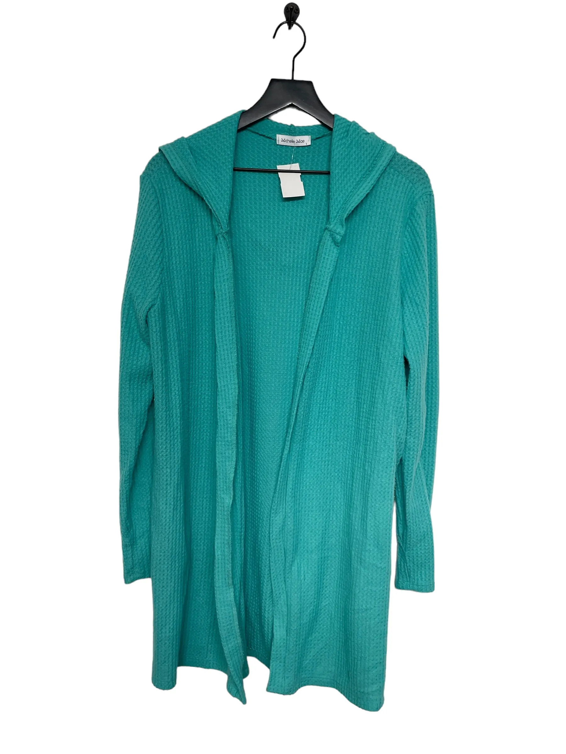 Aqua Cardigan Clothes Mentor, Size L